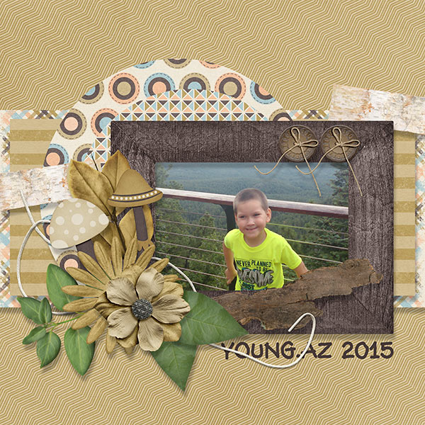 BD-Young2015