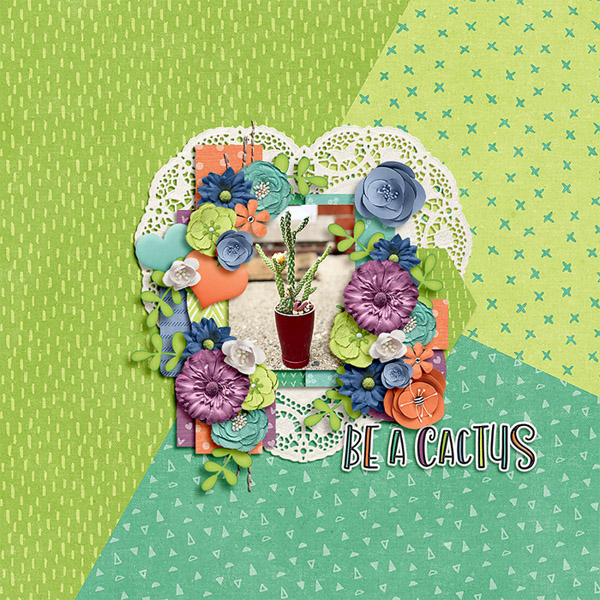 Be a Cactus