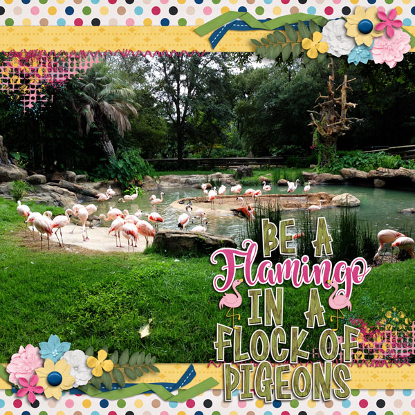 Be A Flamingo...