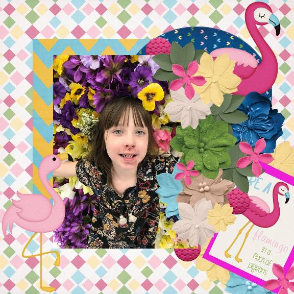 Be a flamingo