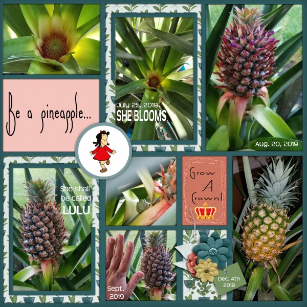 Be A Pineapple -pg2