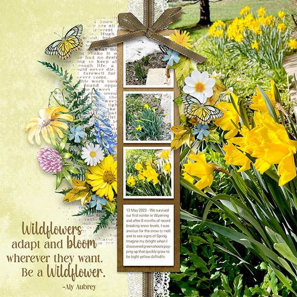 BE A WILDFLOWER