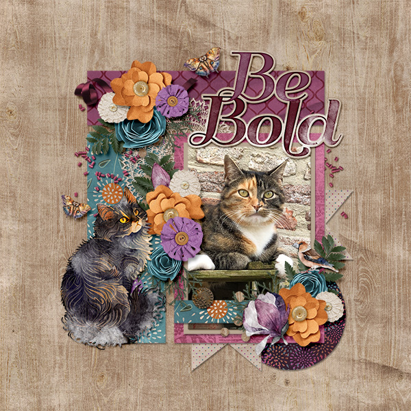 Be bold