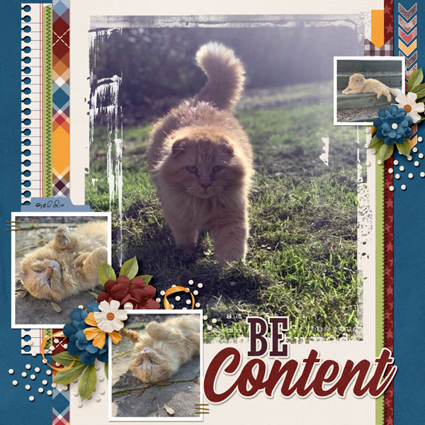 Be Content
