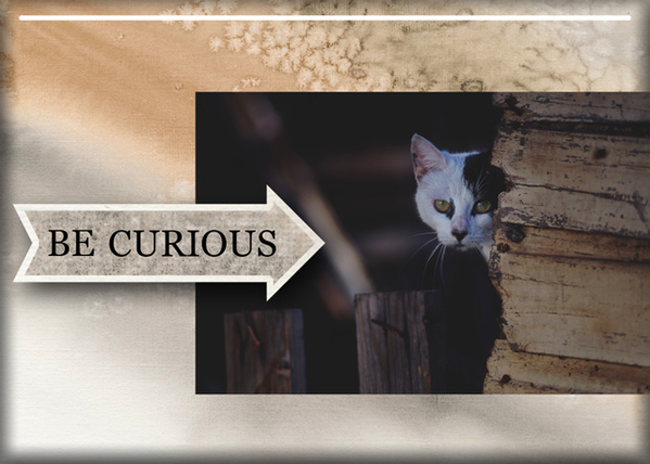 Be Curious