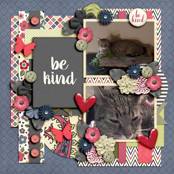 Be Kind
