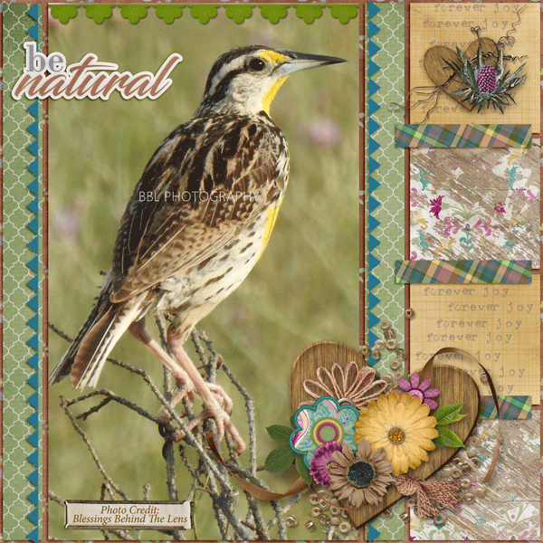 Be Natural Eastern Meadowlark