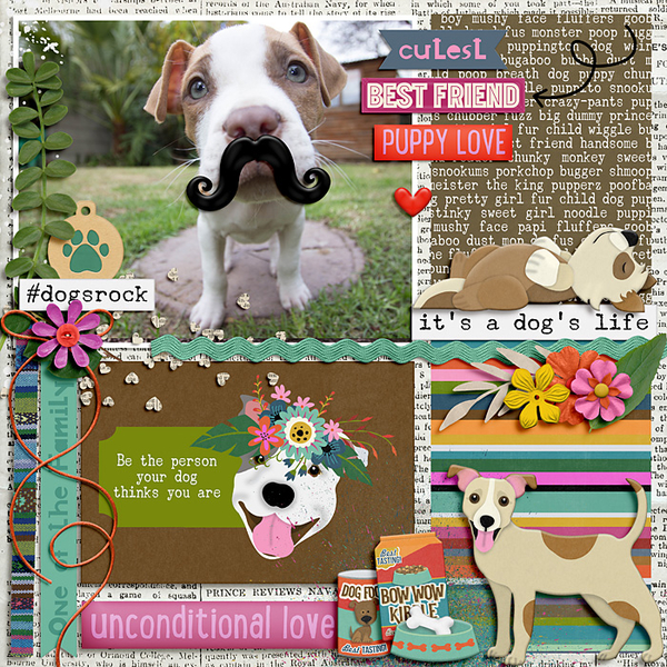 Be the person your dog thinks you are