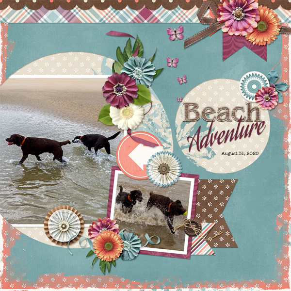 Beach Adventure