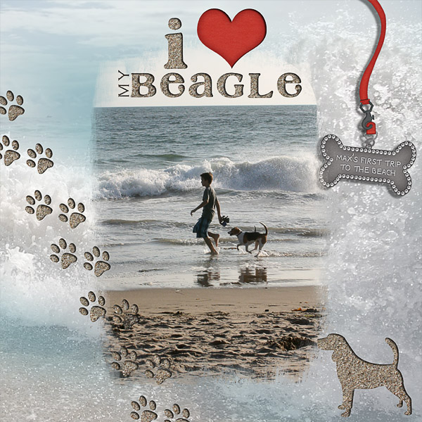 Beach Beagle