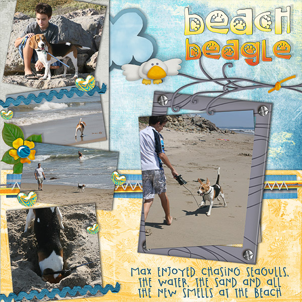 Beach Beagle
