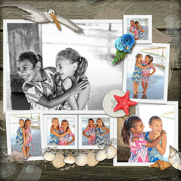 Beach Beauties