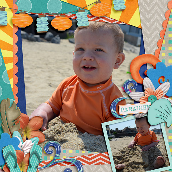 Beach Boy