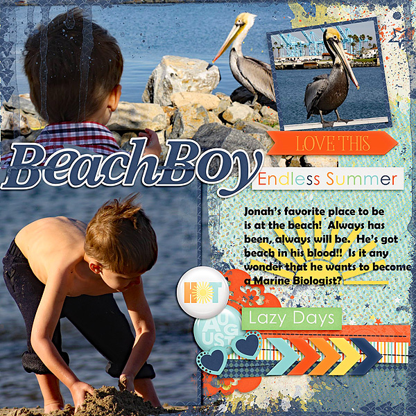 Beach Boy