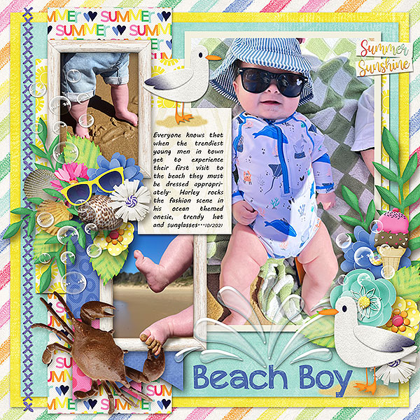 Beach Boy