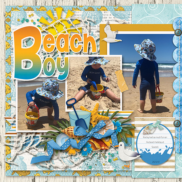 Beach Boy