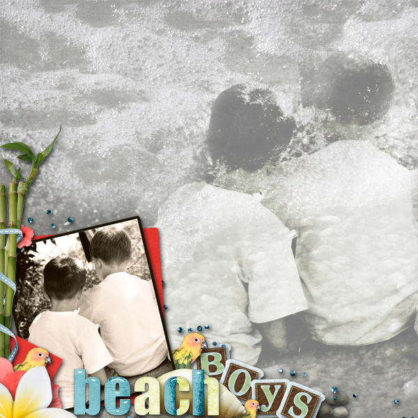 beach boys