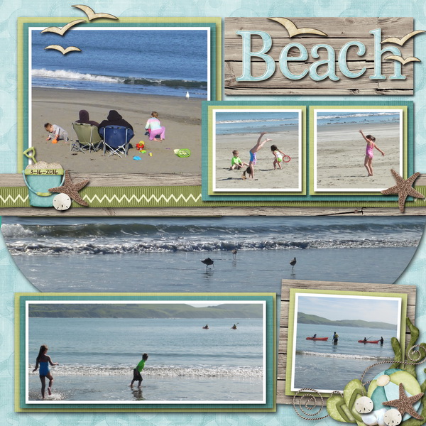 Beach Bums 1