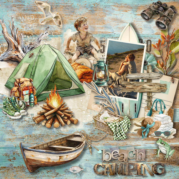 Beach Camping