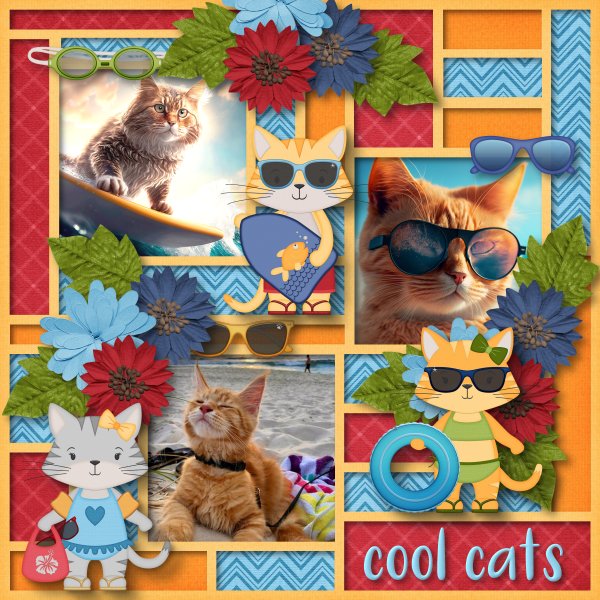 beach cats