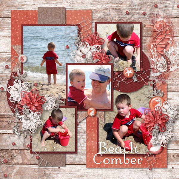 Beach Comber