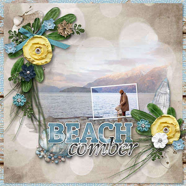 Beach Comber