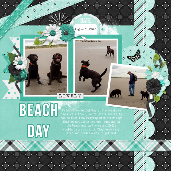 Beach Day