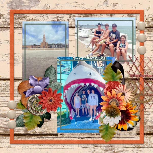 Beach Day