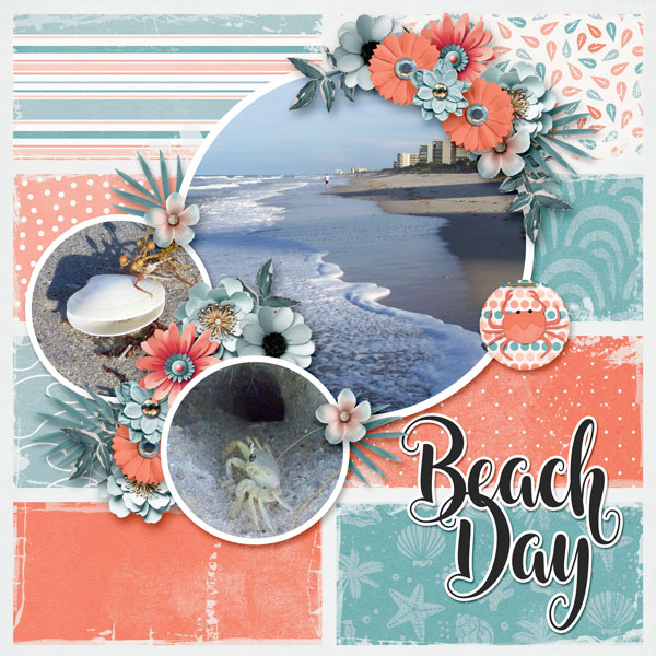 Beach Day
