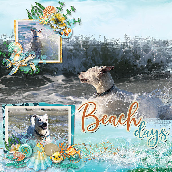 Beach Days