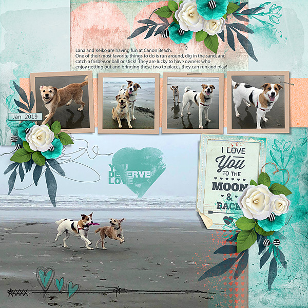 Beach Dogs
