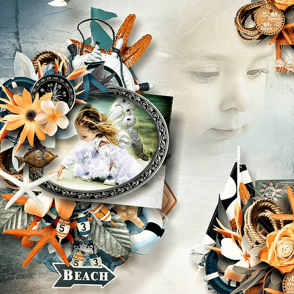 Beach explorer