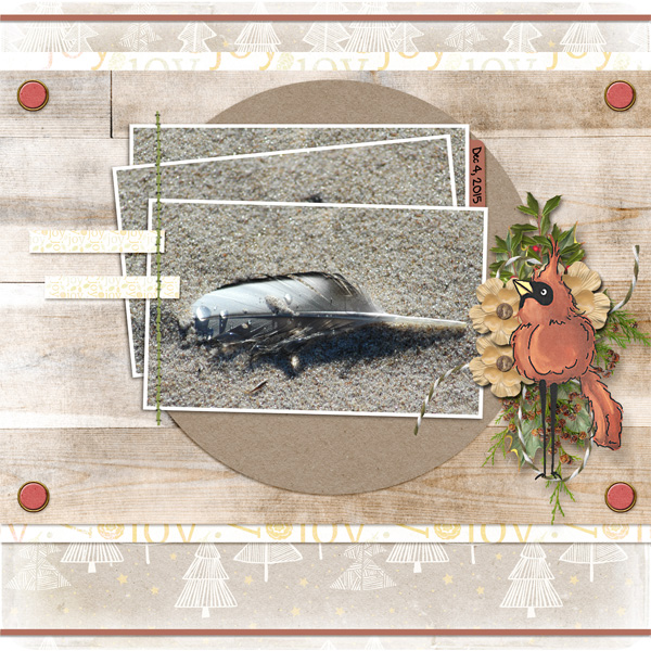 Beach Feather