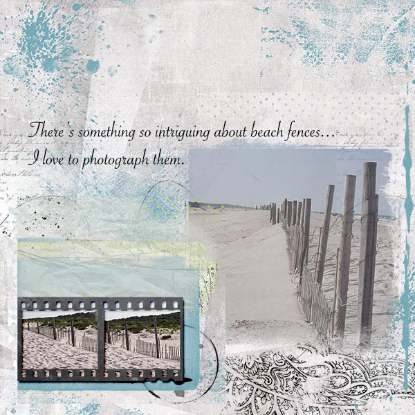 Beach Fences