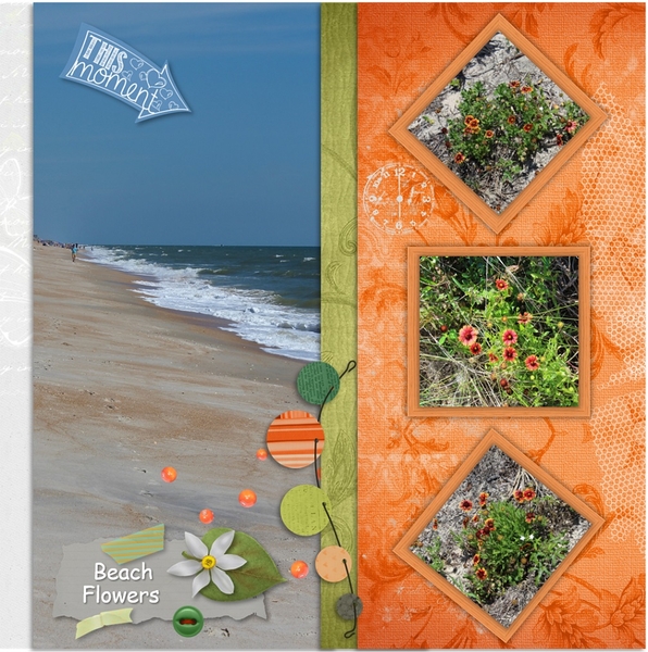 Beach Flowers