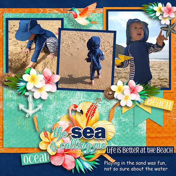 Beach Fun