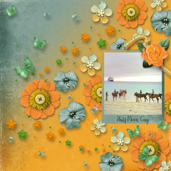 Beach Horseback Riding