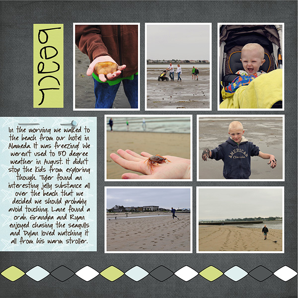 Beach in Alameda Page 1