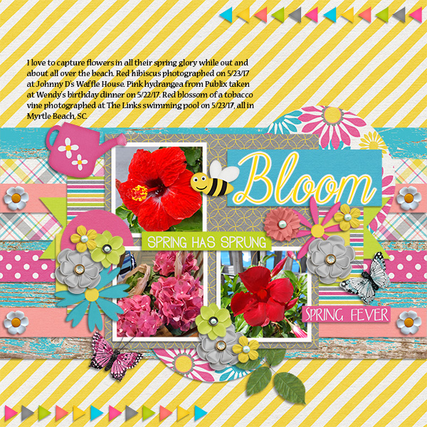 Beach In Bloom