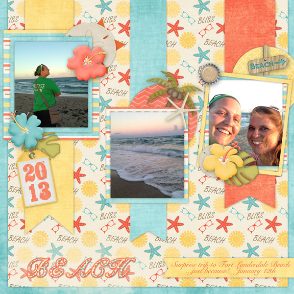 Beach Jan 2013