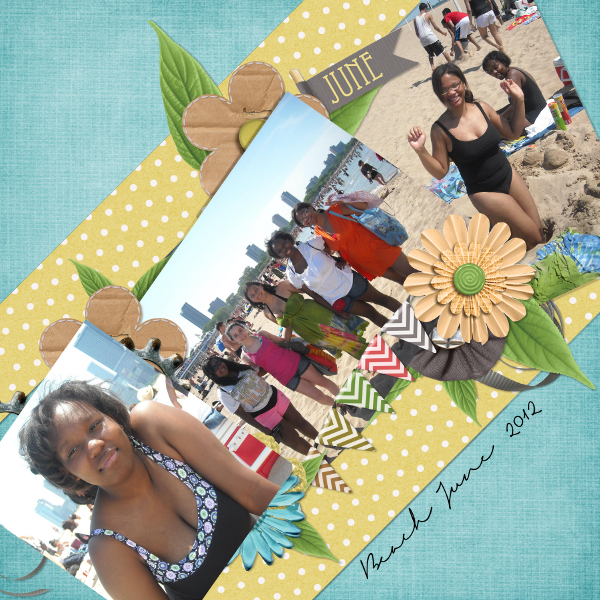 Beach June 2012