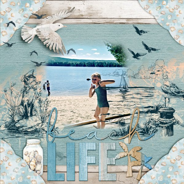 Beach-life.jpg