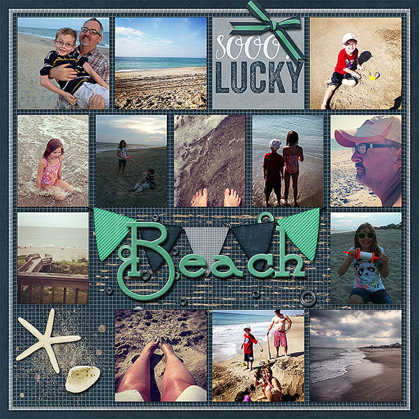 Beach Life Left 2012