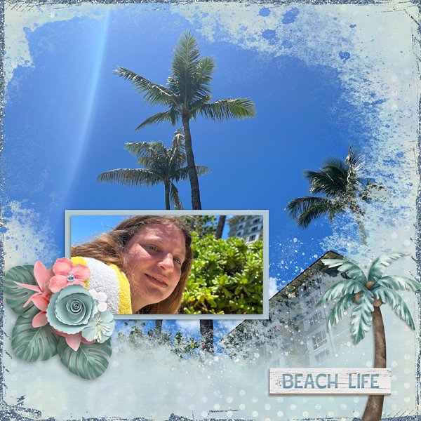 Beach-Life-web.jpg