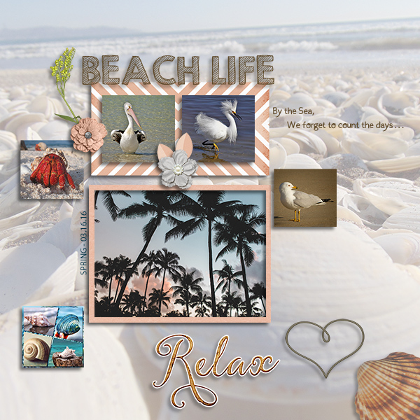 Beach Life