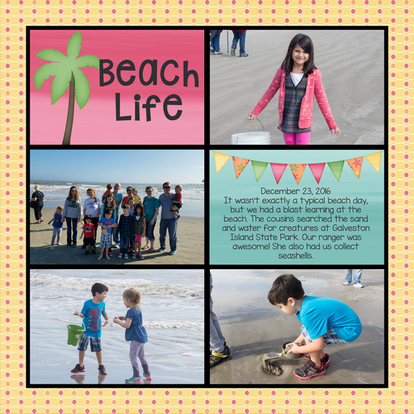 Beach Life
