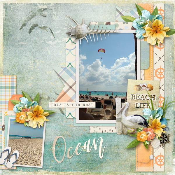 Beach life