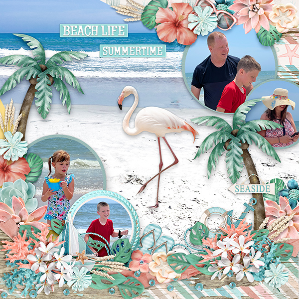 Beach Life