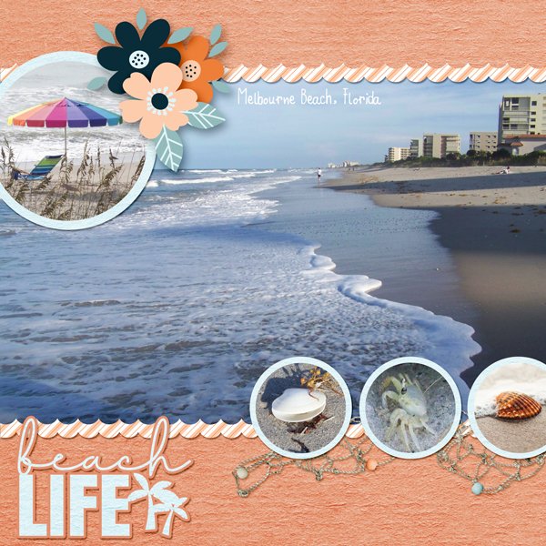 Beach Life