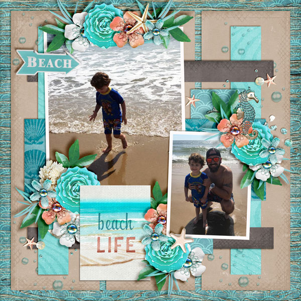 Beach-Life1